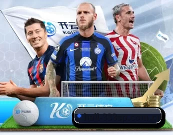 hall-333sp.com.cn的故事