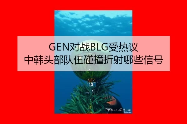 GEN对战BLG受热议 中韩头部队伍碰撞折射哪些信号